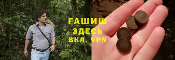 индика Арсеньев