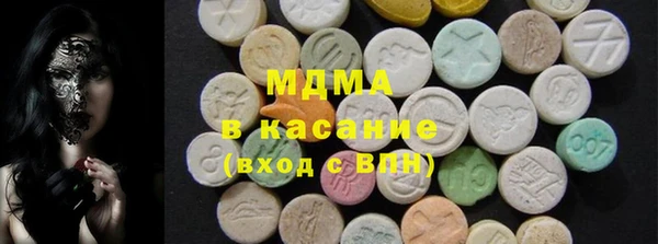 индика Арсеньев