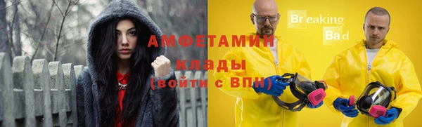 индика Арсеньев