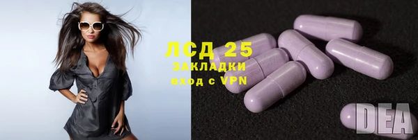 индика Арсеньев