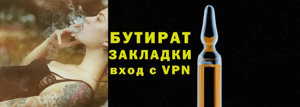 индика Арсеньев