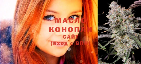 индика Арсеньев
