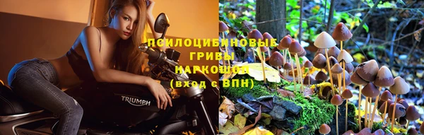 герыч Медногорск