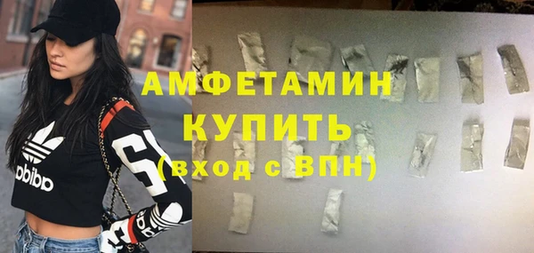 индика Арсеньев