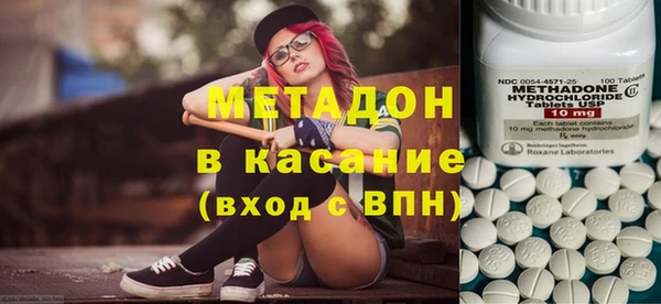 индика Арсеньев