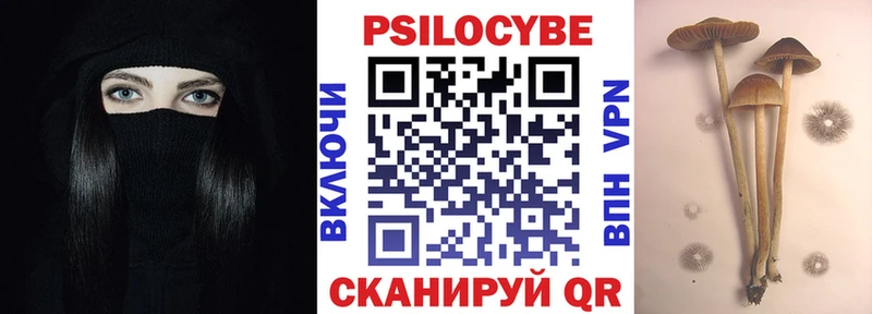 гидра tor  Суджа  Галлюциногенные грибы мицелий  купить  